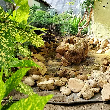 Hotel Juli Sunny Beach