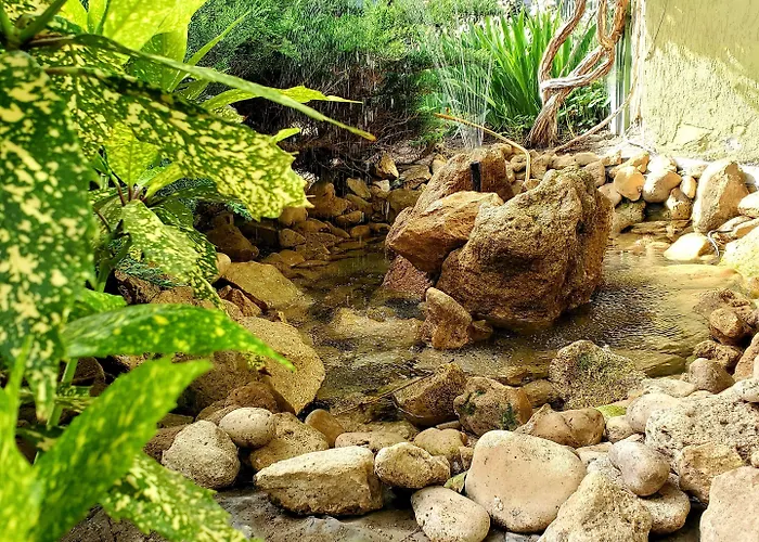 מלון Juli סאני ביץ'